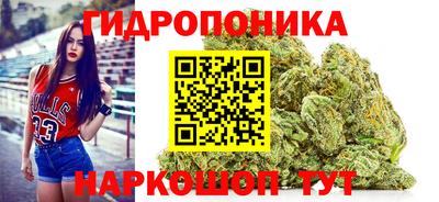 PSILOCYBIN Тулун