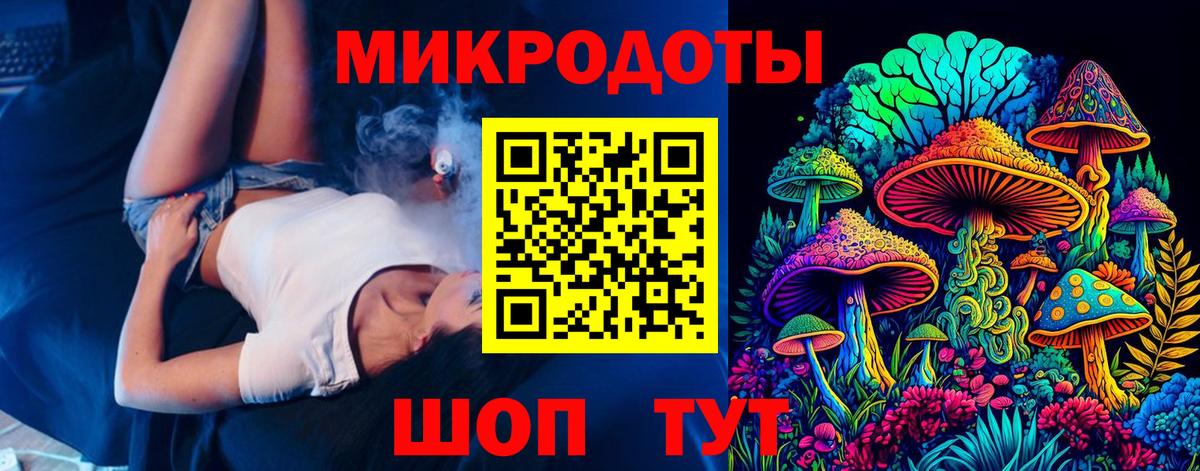 Псилоцибиновые грибы Cubensis Курчалой