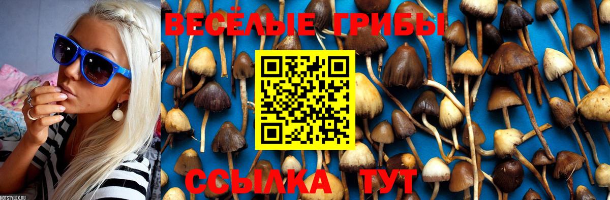 Галлюциногенные грибы Magic Shrooms  Галлюциногенные грибы Magic Shrooms  Курчалой  Вход с VPN 
